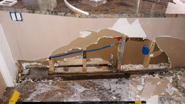 Best Flood damage cleanup  in Clearlake Riviera, CA
