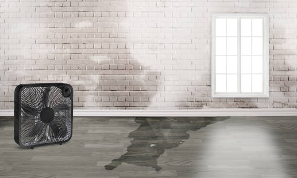 Best Water damage restoration near me  in Clearlake Riviera, CA