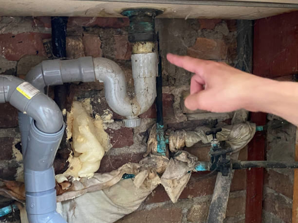 Best Water damage restoration mold remediation  in Clearlake Riviera, CA